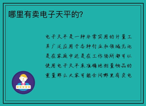 哪里有卖电子天平的？